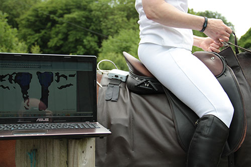 WOW™ is proven awesome under pressure. Your horse will feel better, look better and perform better in a WOW™.