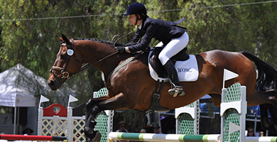 Riders competing on WOW Saddles Riders competiting on WOW Saddles